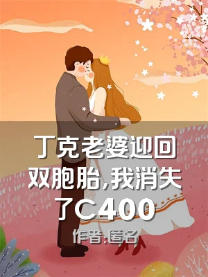 丁克老婆迎回双胞胎，我消失了C400