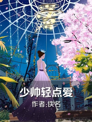 少帅轻点爱