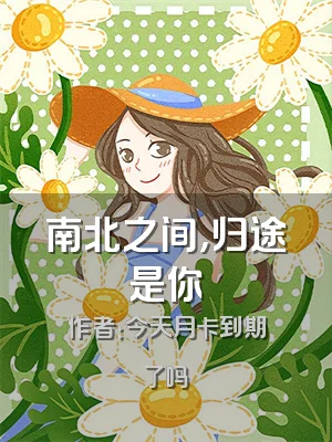 南北之间，归途是你