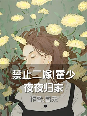 禁止二嫁！霍少夜夜归家