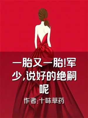 一胎又一胎！军少，说好的绝嗣呢