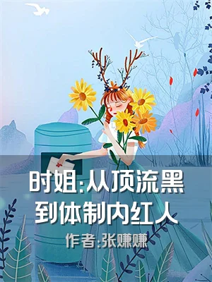 时姐：从顶流黑到体制内红人