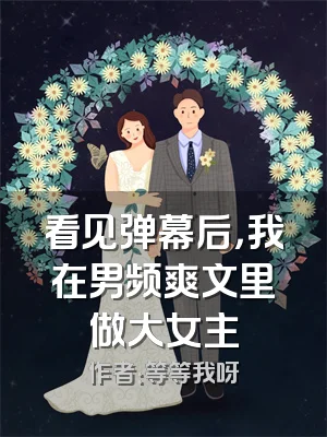 看见弹幕后，我在男频爽文里做大女主