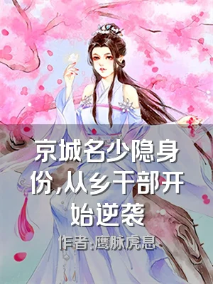 京城名少隐身份，从乡干部开始逆袭