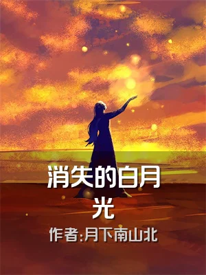 消失的白月光