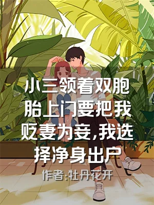 小三领着双胞胎上门要把我贬妻为妾，我选择净身出户