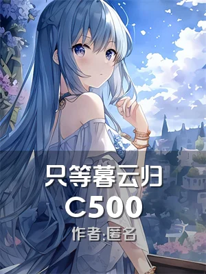 只等暮云归C500