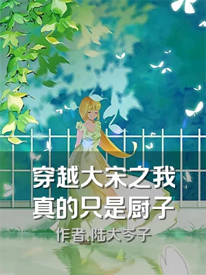 穿越大宋之我真的只是厨子