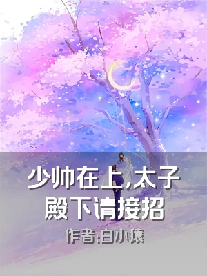 少帅在上，太子殿下请接招