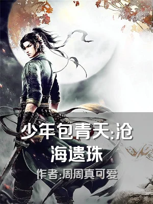 少年包青天：沧海遗珠