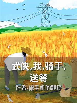 武侠，我，骑手，送餐