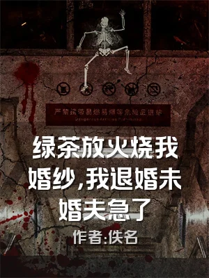 绿茶放火烧我婚纱，我退婚未婚夫急了