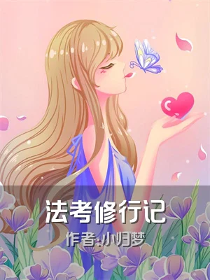 法考修行记