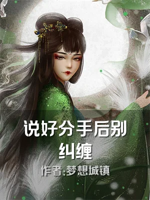 说好分手后别纠缠