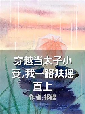 穿越当太子小妾，我一路扶摇直上