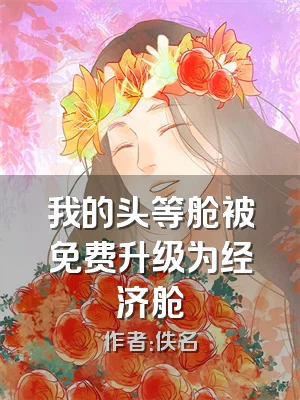 我的头等舱被免费升级为经济舱