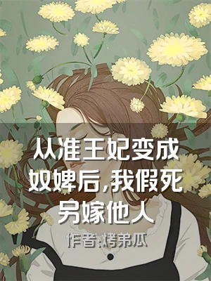 从准王妃变成奴婢后，我假死另嫁他人