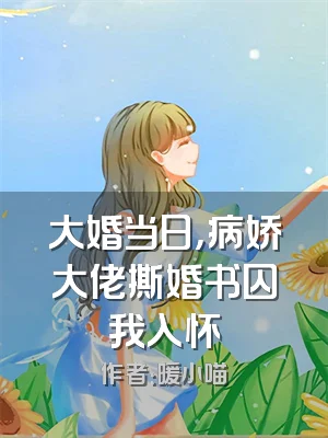 大婚当日，病娇大佬撕婚书囚我入怀
