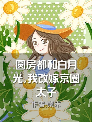 圆房都和白月光，我改嫁京圈太子