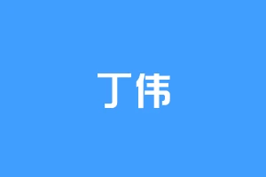 丁伟