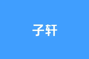子轩