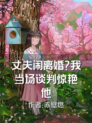 丈夫闹离婚？我当场谈判惊艳他