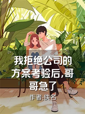 我拒绝公司的方案考验后，哥哥急了