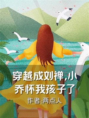 穿越成刘禅，小乔怀我孩子了