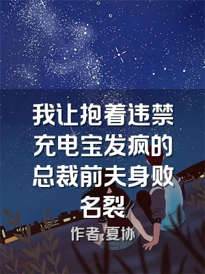 我让抱着违禁充电宝发疯的总裁前夫身败名裂