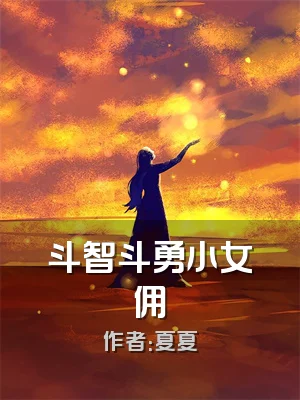 斗智斗勇小女佣