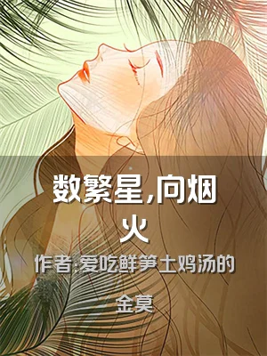 数繁星，向烟火