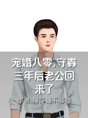 宠婚八零，守寡三年后老公回来了
