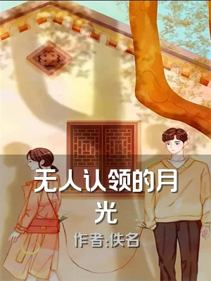 无人认领的月光