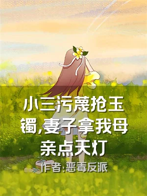 小三污蔑抢玉镯，妻子拿我母亲点天灯