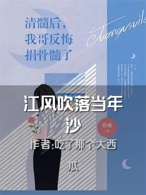 江风吹落当年沙