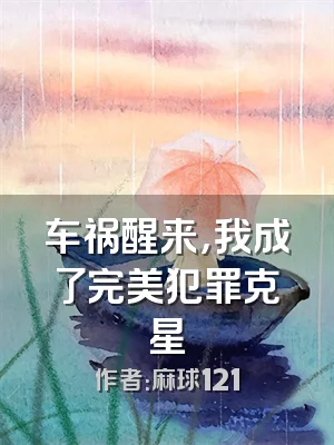 车祸醒来，我成了完美犯罪克星