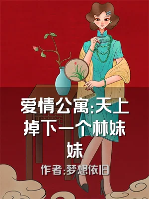 爱情公寓：天上掉下一个林妹妹