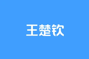 王楚钦