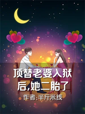 顶替老婆入狱后，她二胎了