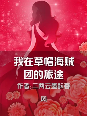 我在草帽海贼团的旅途