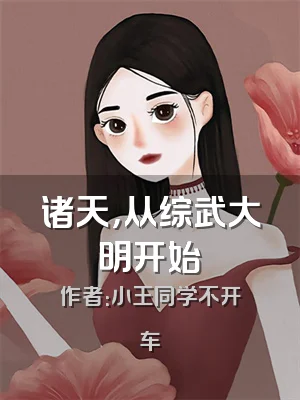 诸天，从综武大明开始