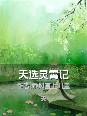 天选灵霄记