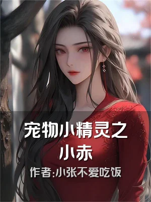 宠物小精灵之小赤