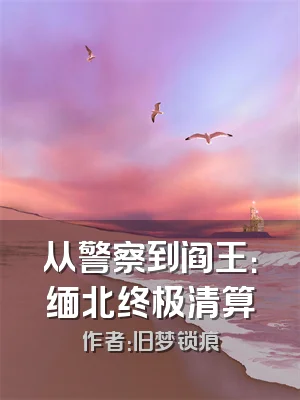 从警察到阎王：缅北终极清算