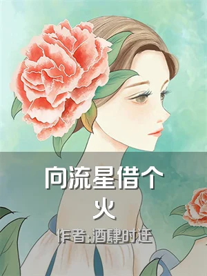 向流星借个火