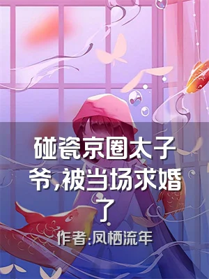 碰瓷京圈太子爷，被当场求婚了