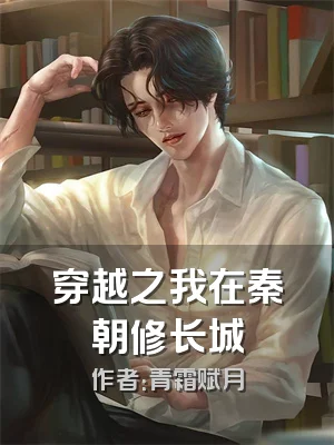 穿越之我在秦朝修长城