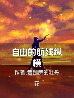 自由的航线纵横