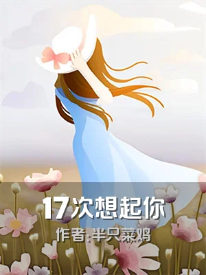 17次想起你