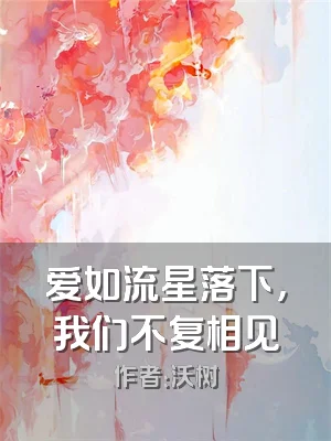 爱如流星落下，我们不复相见